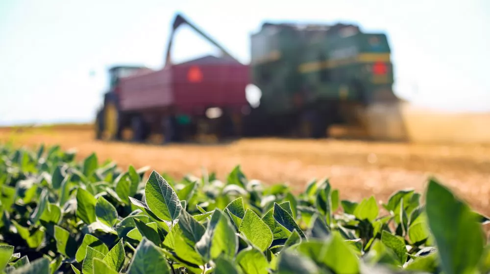 Precision Agriculture:Benefits of Auto Steering